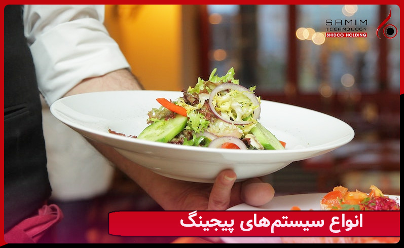 انواع سیستم‌های پیجینگ